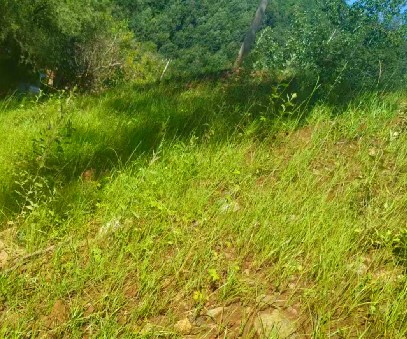 柳關(guān)欒盧鉛鋅礦|治理排土“瘡疤”，繪就綠色畫卷